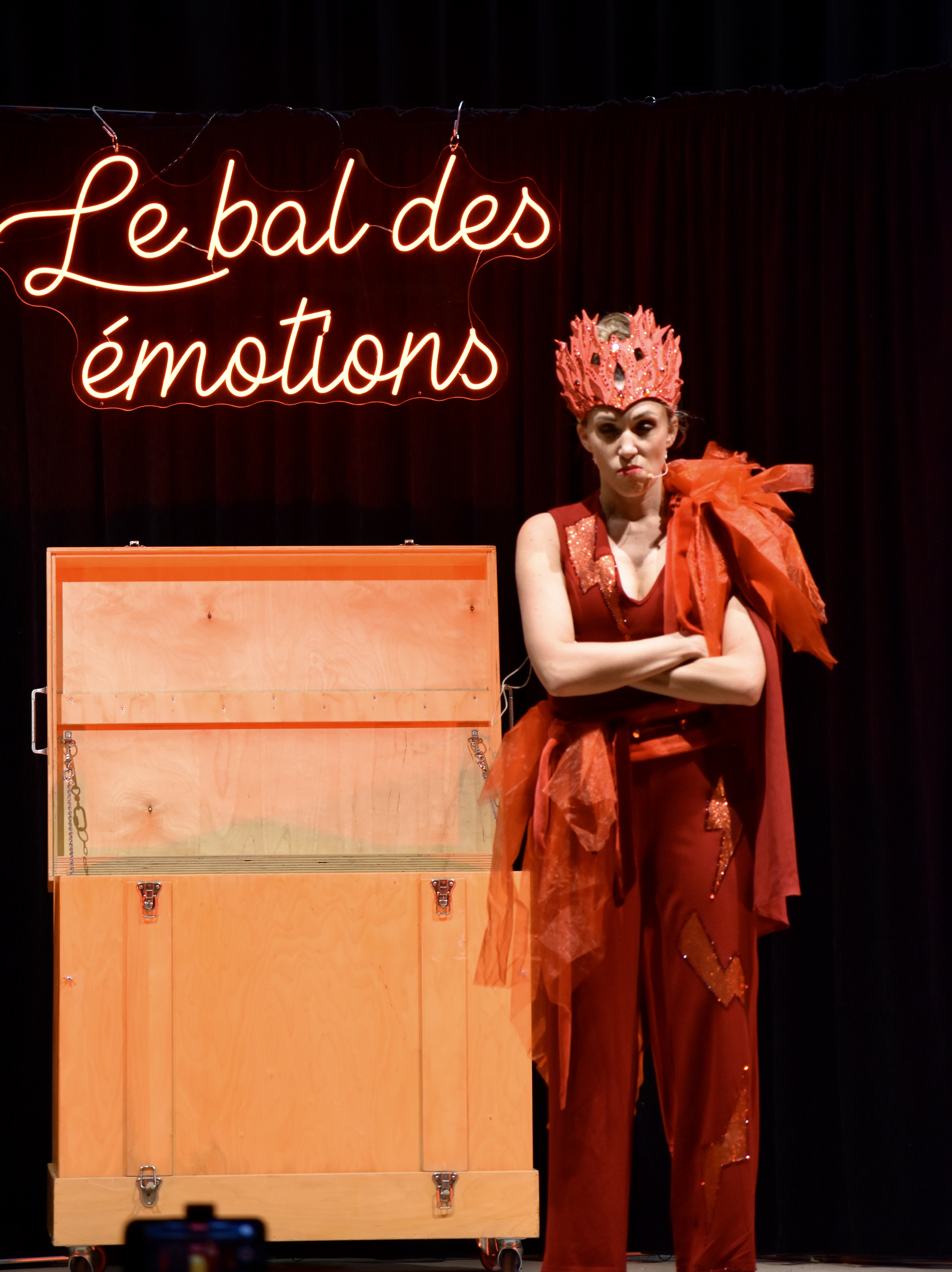 Le bal des émotions - Photo 8